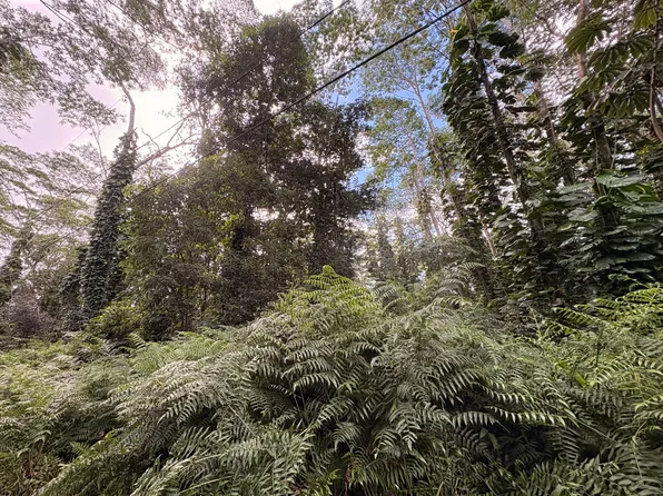 Pakalana Rd, Pahoa, HI 96778