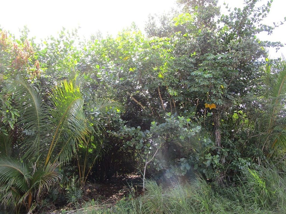 2nd image of Beach Rd Lot 2988
