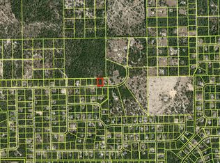 5547 W Conestoga St, Beverly Hills, FL 34465