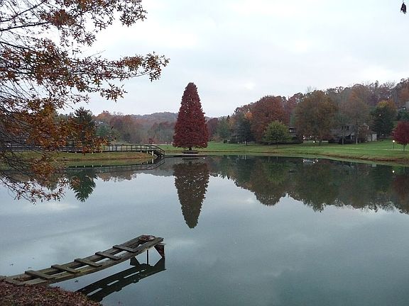 ponds in common area of Crow