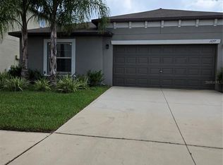 1677 Blue Rose Dr, Ruskin, FL 33570