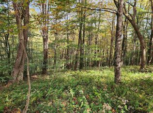 TRACT 38 Rocky Rd, Harman, WV 26270