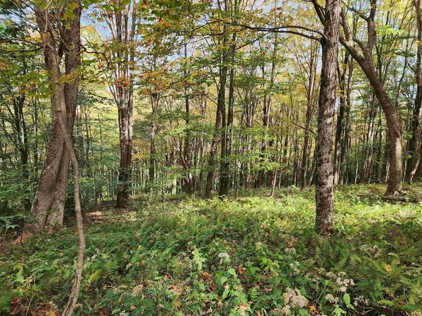 TRACT 38 Rocky Rd, Harman, WV 26270