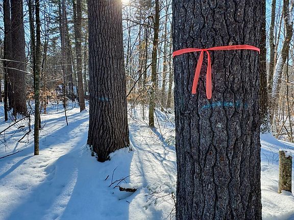 2nd image of TBD Swans Falls Road Lot A