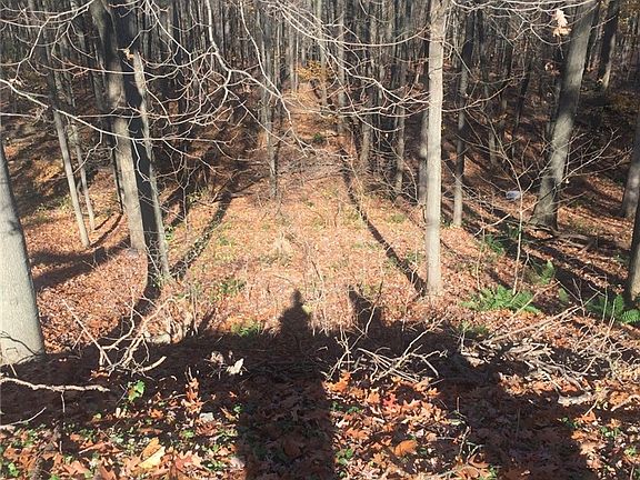 5th image of 370 W Hill Rd #A