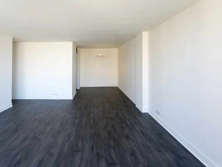 Dining/Living room