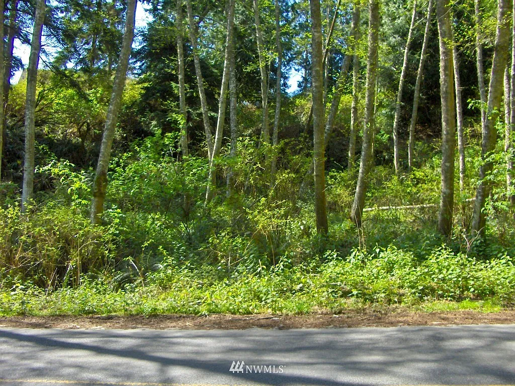 0 XXX George Drive photo 1