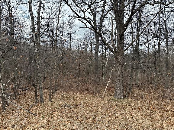 2nd image of LOT 25 County Road 11