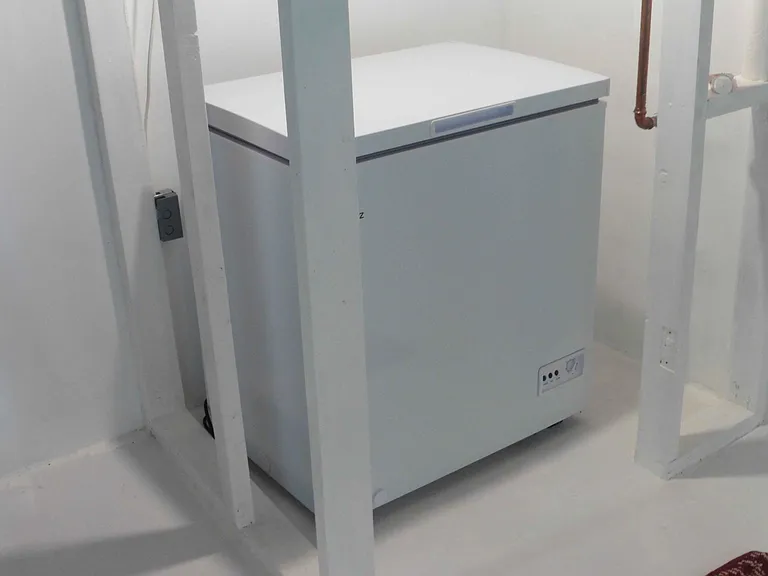 Basement Freezer
