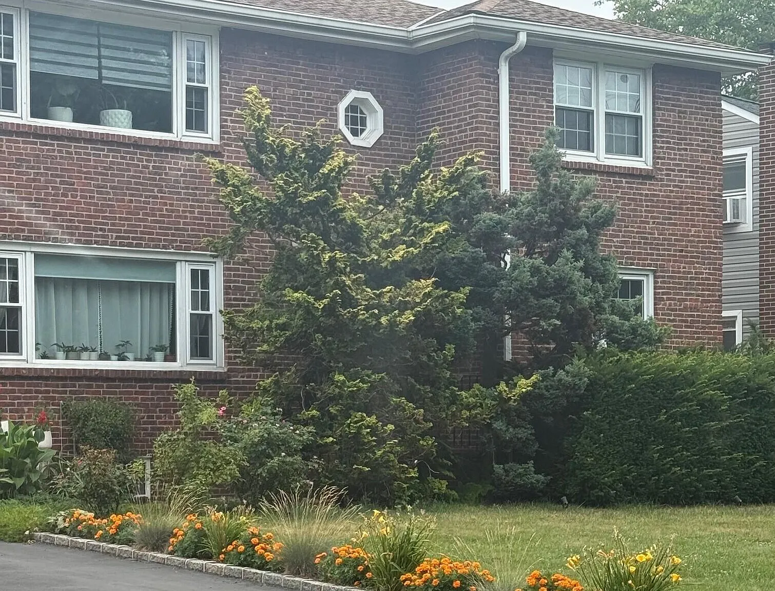 2 bed, $2,800 — Photo 1