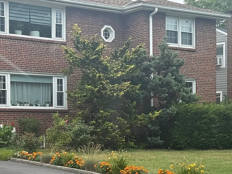 224 Colonial Ave #2 — Photo 1