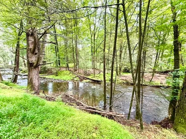 Lot 9 Black Forest Road, Glen Spey, NY 12737