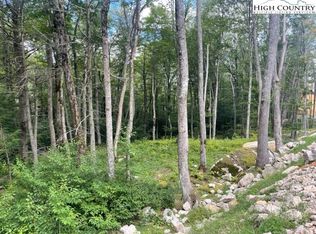 ES71 Twisted Oak Path, Banner Elk, NC 28604