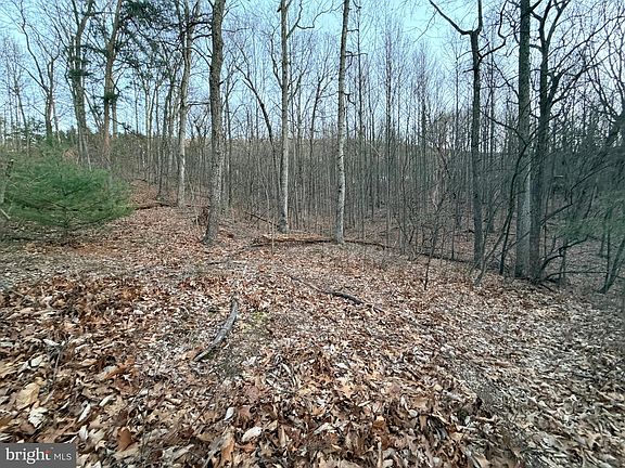 5th image of 262 Jamie Rd