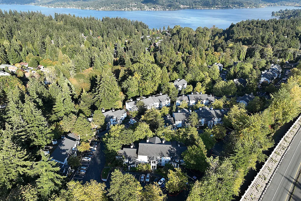 Sammamish View — Photo 3