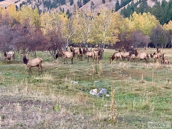 69th image of this home