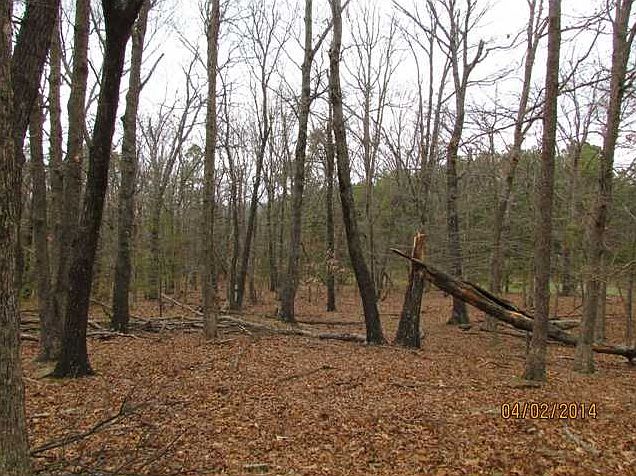 1st image of Brannon Mountain