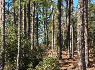 0 SW 209th Ave, Dunnellon, FL 34431