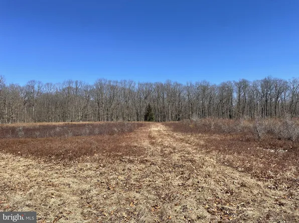 Land On Black Moshannon Rd, Philipsburg, PA 16866