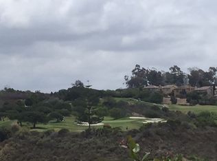 1629 Hawk View Dr, Encinitas, CA 92024