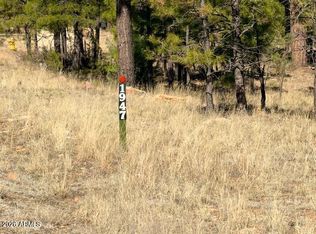 1947 Pine Canyon Dr #171, Happy Jack, AZ 86024