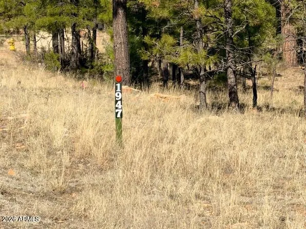 1947 PINE CANYON Drive #171, Happy Jack, AZ 86024