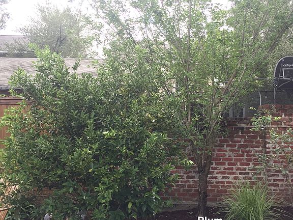 4th image of 1423 Adams St