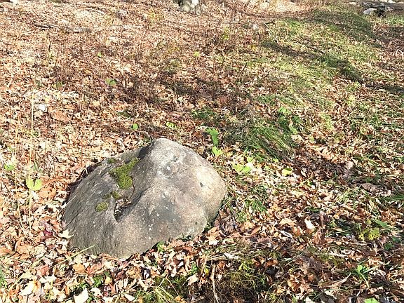 Town Sewer @ Lot Corner 