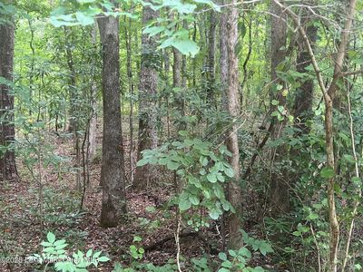 48 Turtle Ln, Dadeville, AL, 36853
