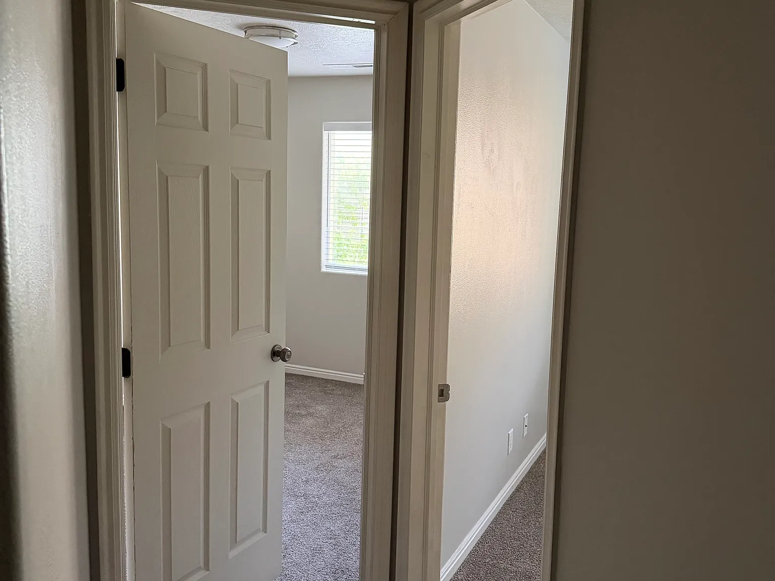 3 bed, 1365 sqft, $500 — Photo 4