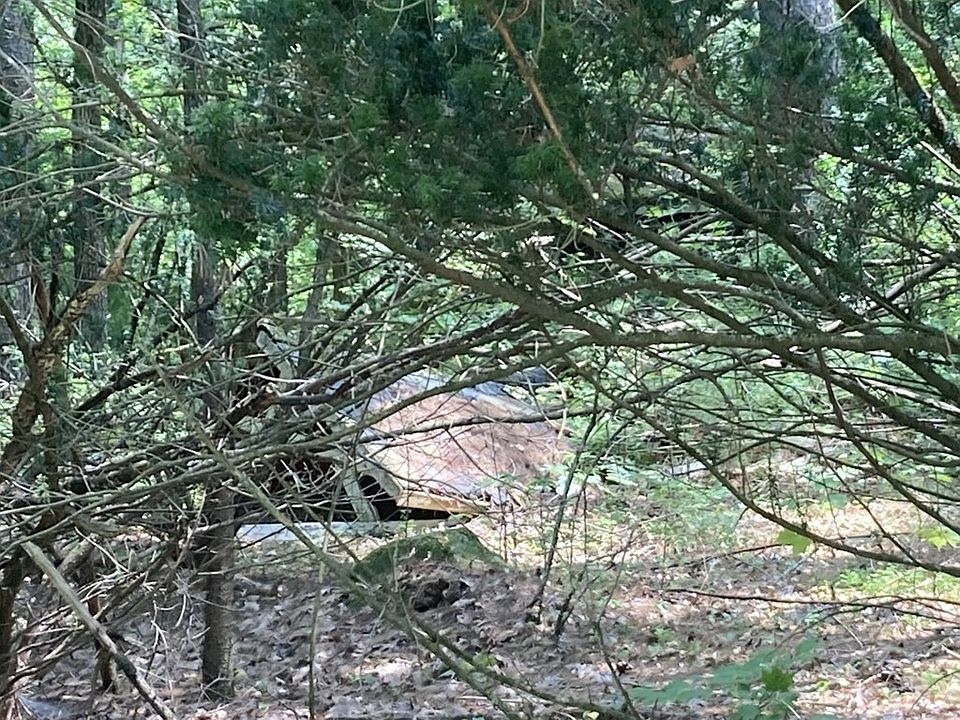 2nd image of 27 Brook Dr