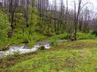 46734 Goodpasture Rd, Vida, OR 97488