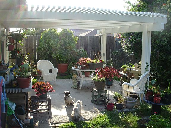 new patio/deck cover
