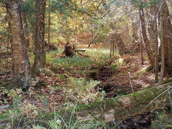 4th image of 326 S River Rd
