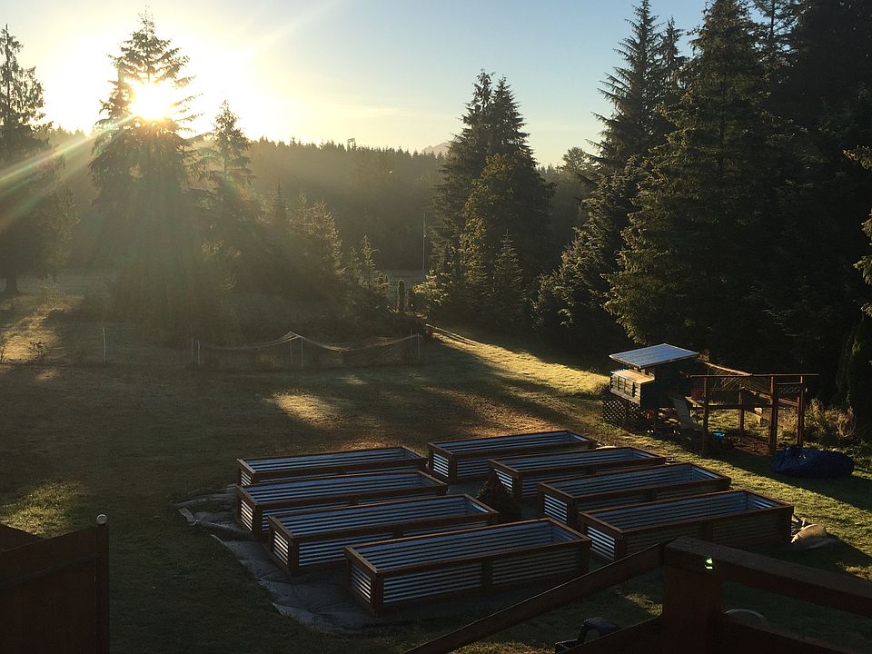 Garden beds and chicken coop