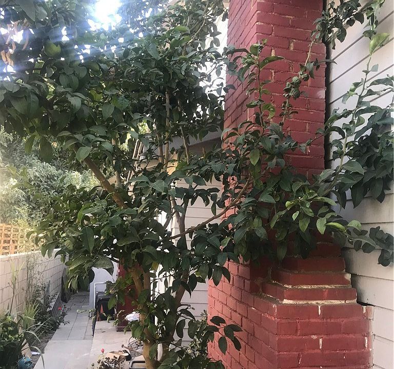 1st image of 408 W Halesworth St