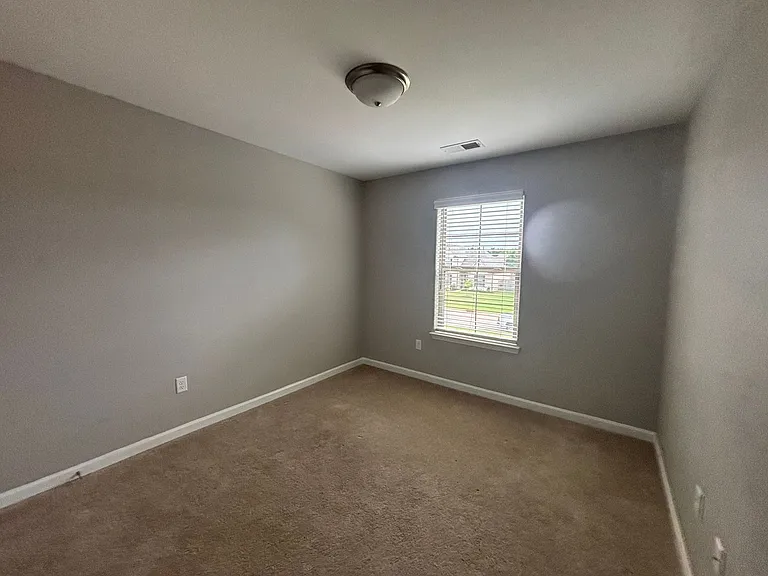 340 Chesnut Ridge Cv — Photo 62