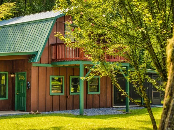 170 Dogpatch Ln, Blue Ridge, GA 30513