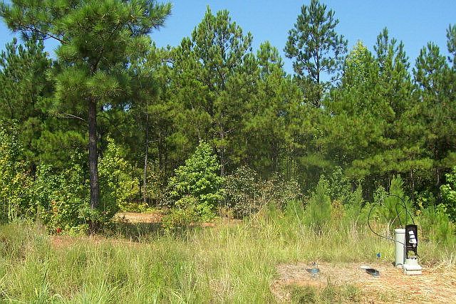 1st image of lot 48 Eagle Pointe