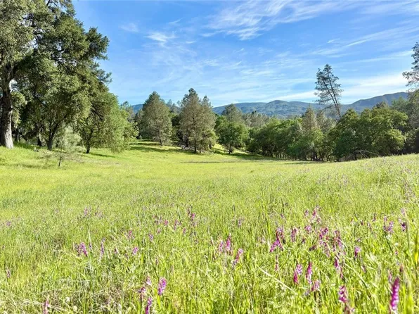 75370 Turkey Ln Lot 31, Bradley, CA 93426