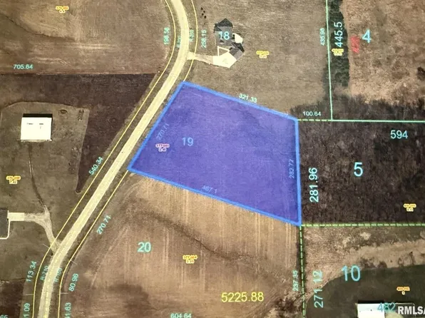 2103 Olof Krans Ave, Galva, IL 61434