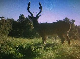 538 Thomas Ln, Anderson, MO 64831