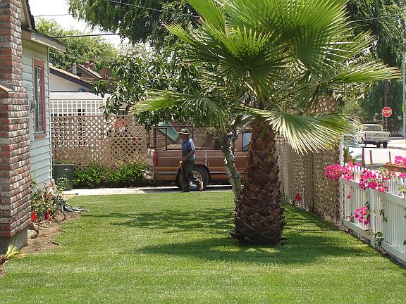 side yard