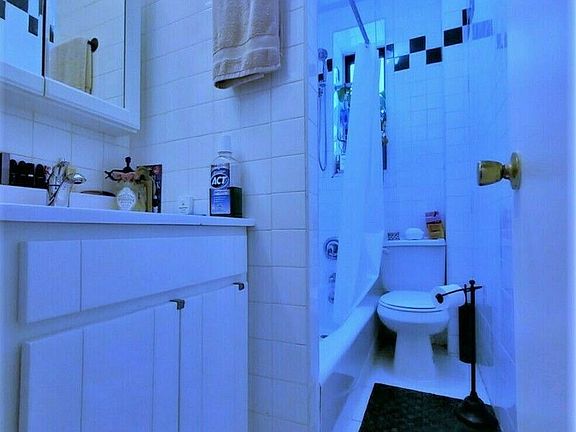 4th image of 31 Diamond St #3A