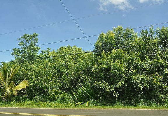 3rd image of Kalapana Beach Hvn