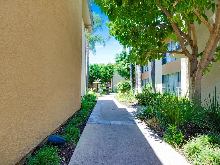 Balboa Court — Photo 11