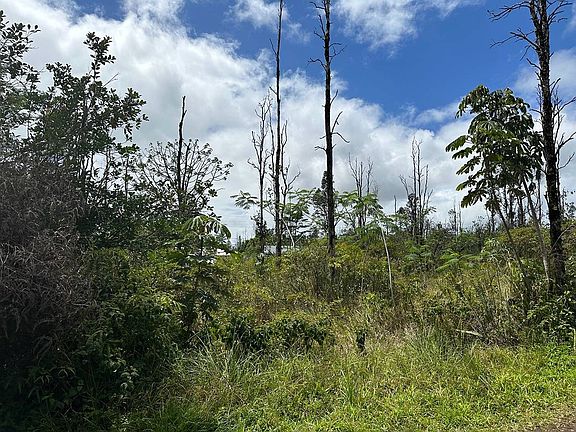 4th image of King Kamehameha Blvd Lot 12