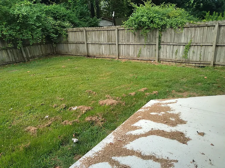 10002 Shannon Dr #4B — Photo 25