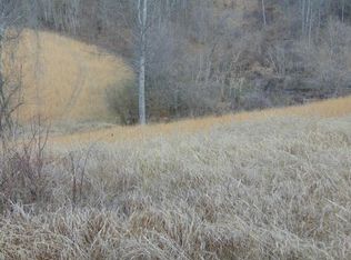 422 Olinger Dr, Kingsport, TN 37660