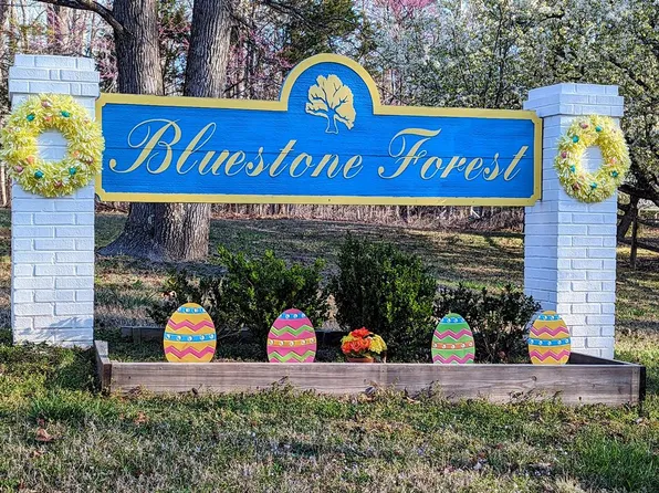 Olde Forest Rd, Clarksville, VA 23927